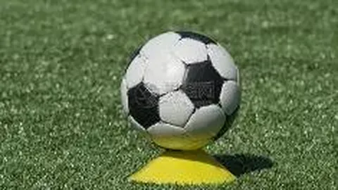 开云平台网站品牌大使皮耶罗 资讯 125108 dct