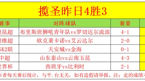 开云平台网站品牌大使皮耶罗 154448 16