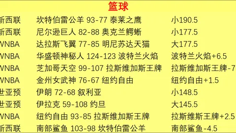 开云平台网站品牌大使皮耶罗 161108 7